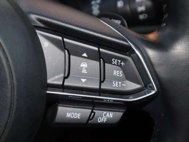 ミリ波レーダーで先行車との速度差や車間距離を認識。設定した車速内での車間距離を自動で調整・維持して、アクセル・ブレーキの操作なしで長距離ドライブの負担も軽減してくれます。