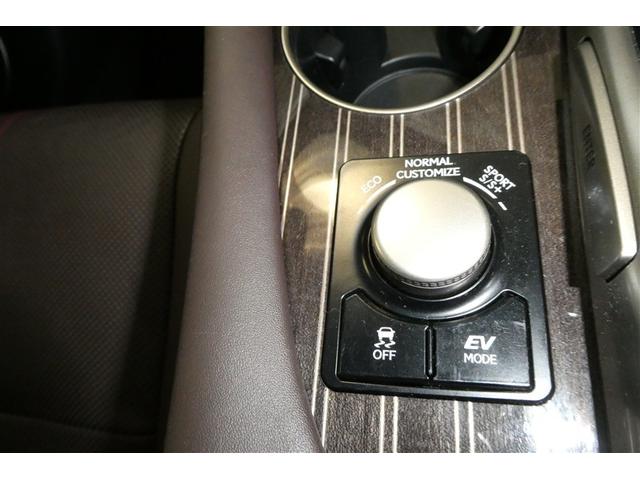 ＲＸ ＲＸ４５０ｈ　バージョンＬ　プリクラッシュセーフティー　リアカメラ　ナビＴＶ　地デジ　本革　メモリナビ　横滑り防止装置　盗難防止装置　エアバッグ　ＤＶＤ再生機能　１００Ｖ　大型サンルーフ　ＡＢＳ　ＬＥＤライト　アルミホイール（37枚目）