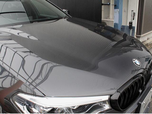 �S�̔�������Ԃ�ۂ��Ă���܂��@�󏭐l�C�̃_�[�N�O���[�u�\�t�B�X�g�O���[�v�J���[�ł�