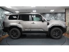 ɥ롼 ֣ 0703918A30251116W001 5