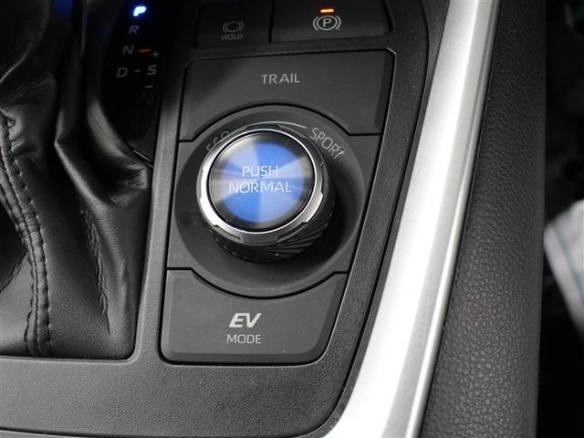 RAV4 ハイブリッドG 4WD ミュージックプレイヤー接続可 バックカメラ 衝突被害軽減システム ETC ドラレコ LEDヘッドランプ アイドリングストップ(22枚目)