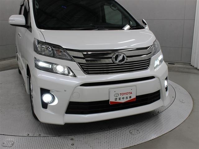 �t�����g���ł��B