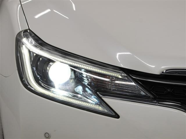 �t�����g���ł��B