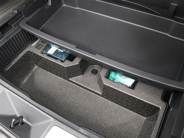 �L���t���b�g�ȃ��Q�[�W�X�y�[�X�ɂ́A�S���t�o�b�O�R�i�X�D�T�C���`�S���t�o�b�O�j�����[�\�ł��B