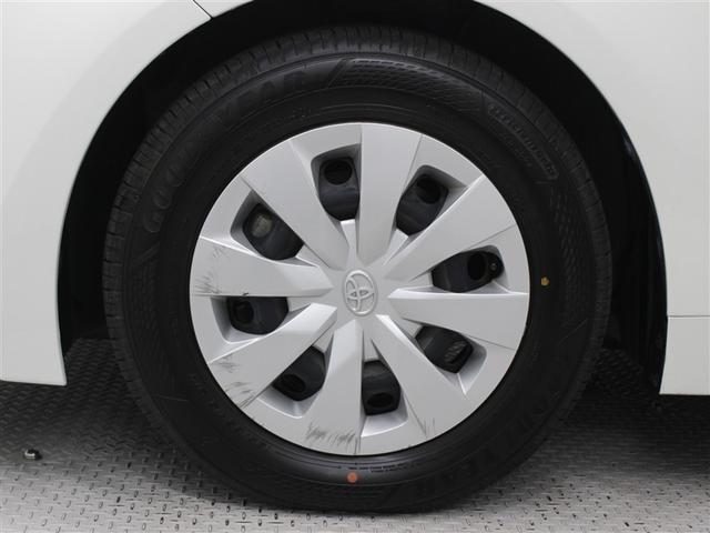 �|���V�[�g�ł��B