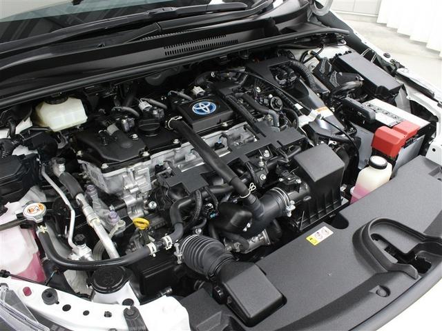 ���S�����ł��B