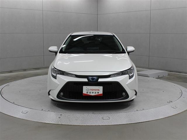 ���S�����ł��B