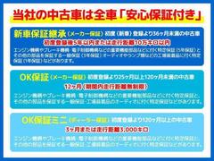 ����ȥ�ѥ�̣� �ء����꡼�ʥӡ������ﳲ�ڸ��֥졼������󥪡��ʡ����ե����ޥå� 0704085A20260109S003 6