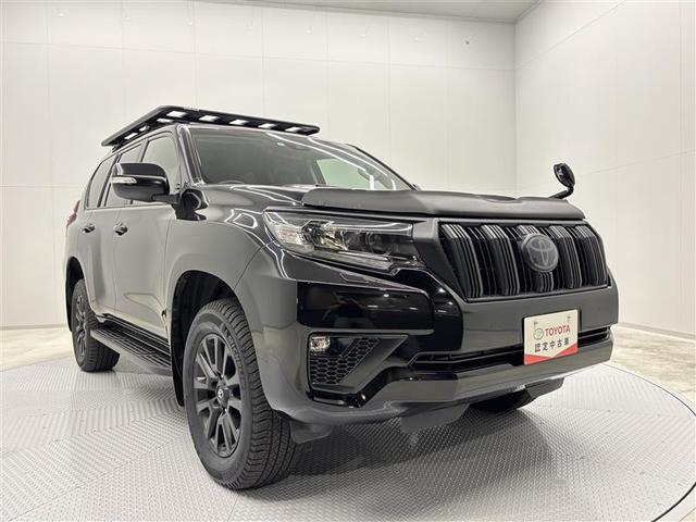ランドクルーザープラド ＴＸ　Ｌパッケージ　マットブラックエディション　革シート　４ＷＤ　フルセグ　メモリーナビ　ＤＶＤ再生　ミュージックプレイヤー接続可　後席モニター　バックカメラ　衝突被害軽減システム　ＥＴＣ　ＬＥＤヘッドランプ　ワンオーナー　ディーゼル（35枚目）