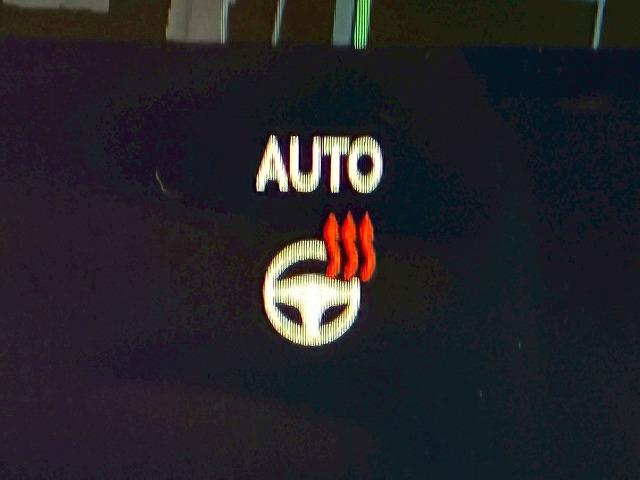 RX RX500h “F SPORT Performance” マークレビンソン 純正ナビ パノラミックビューモニター デジタルインナーミラー ヘッドアップディスプレイ ブラインドスポットモニター シートメモリー パワーシート 電動リアゲート3眼LEDヘッドライト(34枚目)