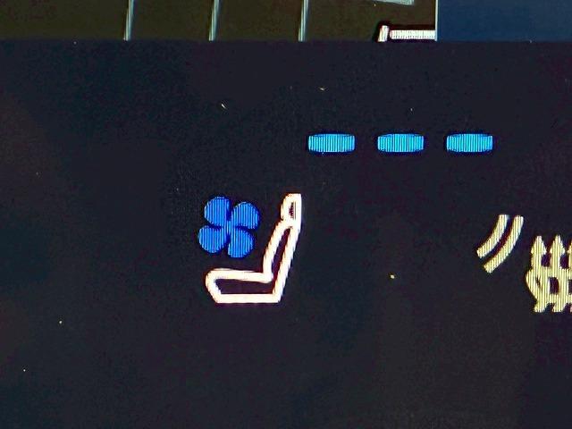 RX RX500h “F SPORT Performance” マークレビンソン 純正ナビ パノラミックビューモニター デジタルインナーミラー ヘッドアップディスプレイ ブラインドスポットモニター シートメモリー パワーシート 電動リアゲート3眼LEDヘッドライト(35枚目)