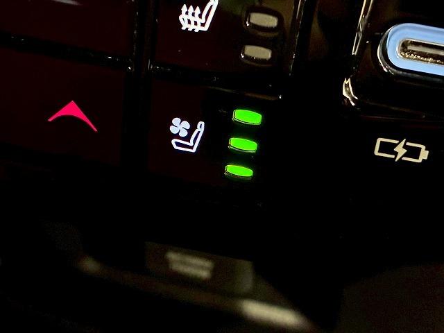 RX RX500h “F SPORT Performance” マークレビンソン 純正ナビ パノラミックビューモニター デジタルインナーミラー ヘッドアップディスプレイ ブラインドスポットモニター シートメモリー パワーシート 電動リアゲート3眼LEDヘッドライト(51枚目)