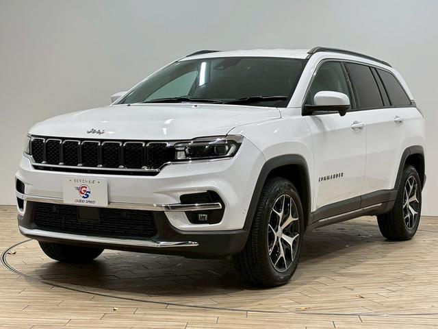 ジープ・コマンダー ロンジチュード 純正ナビ AppleCarPlay バックカメラ レーダークルーズコントロール ブラインドスポットモニター 電動リアゲート ハーフレザーシート ルーフレール 3列シート LEDヘッド 禁煙 盗難防止(64枚目)