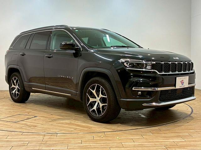 ジープ・コマンダー ロンジチュード 純正ナビ バックカメラ レーダークルーズコントロール 衝突軽減ブレーキ 車線逸脱防止 パーキングアシスト クリアランスソナー 電動リアゲート ブラインドスポットモニター(28枚目)