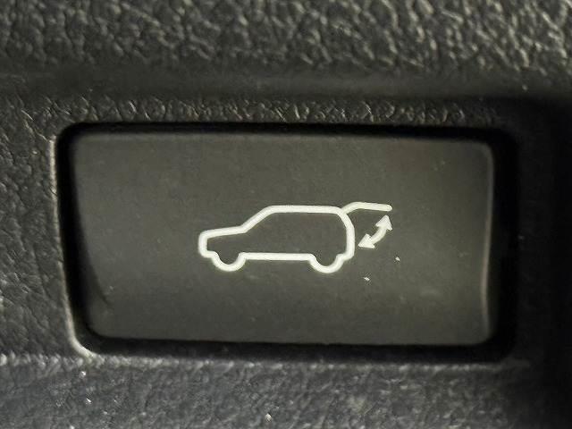 UX UX250h アーバンエレガンス サンルーフ 純正ナビ パノラミックビューモニター 電動リアゲート シートメモリー パワーシート ブラインドスポットモニター レーダークルーズコントロール パドルシフト ステアリングヒーター(7枚目)