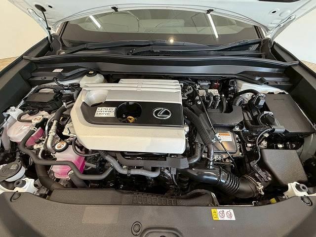 UX UX250h アーバンエレガンス サンルーフ 純正ナビ パノラミックビューモニター 電動リアゲート シートメモリー パワーシート ブラインドスポットモニター レーダークルーズコントロール パドルシフト ステアリングヒーター(20枚目)