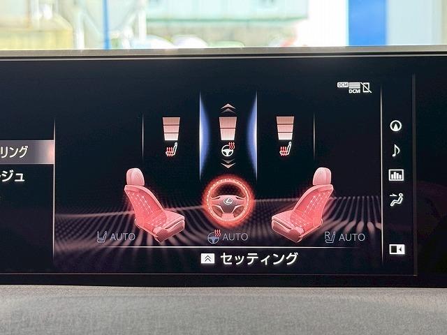 UX UX250h アーバンエレガンス サンルーフ 純正ナビ パノラミックビューモニター 電動リアゲート シートメモリー パワーシート ブラインドスポットモニター レーダークルーズコントロール パドルシフト ステアリングヒーター(22枚目)