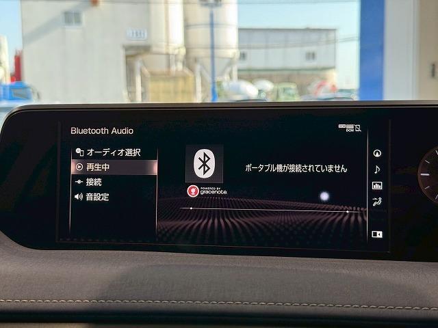 UX UX250h アーバンエレガンス サンルーフ 純正ナビ パノラミックビューモニター 電動リアゲート シートメモリー パワーシート ブラインドスポットモニター レーダークルーズコントロール パドルシフト ステアリングヒーター(26枚目)