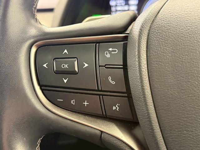 UX UX250h アーバンエレガンス サンルーフ 純正ナビ パノラミックビューモニター 電動リアゲート シートメモリー パワーシート ブラインドスポットモニター レーダークルーズコントロール パドルシフト ステアリングヒーター(37枚目)