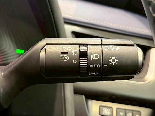 UX UX250h アーバンエレガンス サンルーフ 純正ナビ パノラミックビューモニター 電動リアゲート シートメモリー パワーシート ブラインドスポットモニター レーダークルーズコントロール パドルシフト ステアリングヒーター(42枚目)