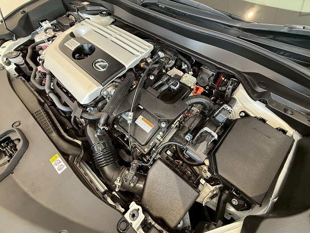 UX UX250h アーバンエレガンス サンルーフ 純正ナビ パノラミックビューモニター 電動リアゲート シートメモリー パワーシート ブラインドスポットモニター レーダークルーズコントロール パドルシフト ステアリングヒーター(62枚目)