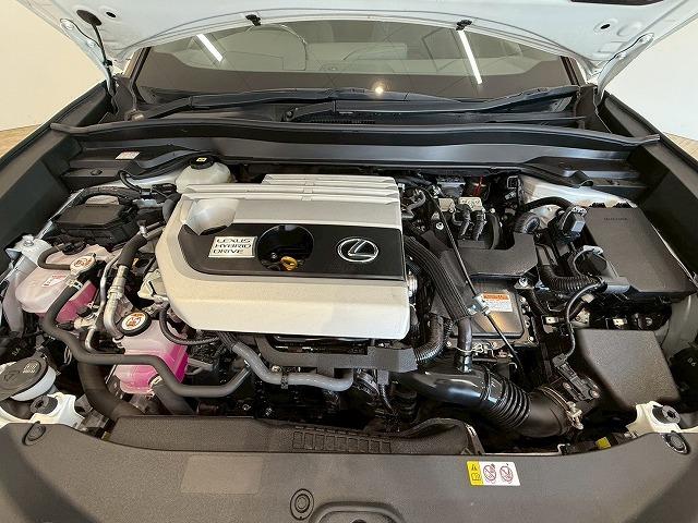 UX UX250h アーバンエレガンス サンルーフ 純正ナビ パノラミックビューモニター 電動リアゲート シートメモリー パワーシート ブラインドスポットモニター レーダークルーズコントロール パドルシフト ステアリングヒーター(63枚目)