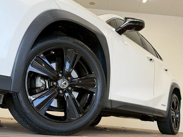 UX UX250h アーバンエレガンス サンルーフ 純正ナビ パノラミックビューモニター 電動リアゲート シートメモリー パワーシート ブラインドスポットモニター レーダークルーズコントロール パドルシフト ステアリングヒーター(71枚目)