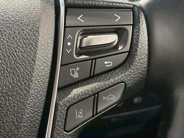 アルファードハイブリッド ＳＲ“Ｃ　パッケージ”　サンルーフ　後席モニター　デジタルミラー　サンルーフ　フリップダウンモニター　デジタルインナーミラー　電動リアゲート　シートメモリー　パワーシート　純正ナビ　レーダークルーズコントロールシートクーラー（30枚目）