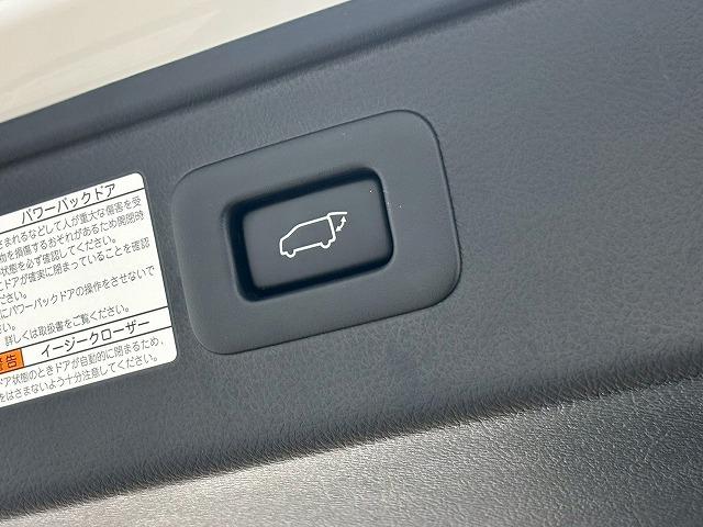 アルファードハイブリッド ＳＲ“Ｃ　パッケージ”　サンルーフ　後席モニター　デジタルミラー　サンルーフ　フリップダウンモニター　デジタルインナーミラー　電動リアゲート　シートメモリー　パワーシート　純正ナビ　レーダークルーズコントロールシートクーラー（59枚目）
