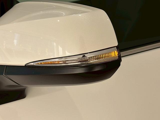 アルファードハイブリッド ＳＲ“Ｃ　パッケージ”　サンルーフ　後席モニター　デジタルミラー　サンルーフ　フリップダウンモニター　デジタルインナーミラー　電動リアゲート　シートメモリー　パワーシート　純正ナビ　レーダークルーズコントロールシートクーラー（64枚目）