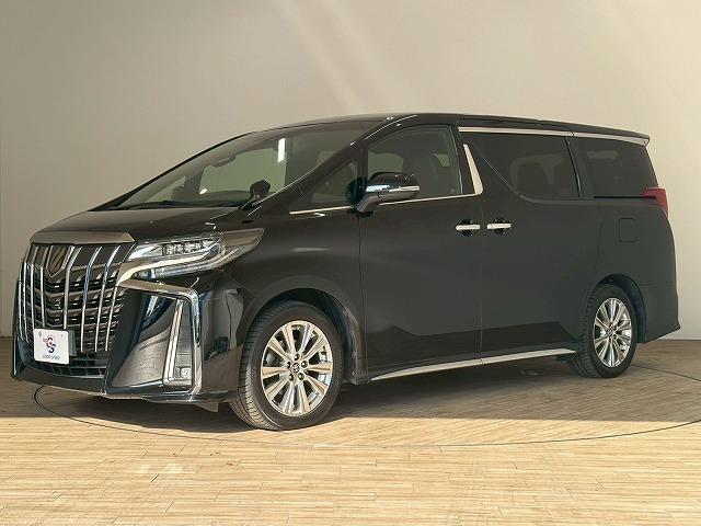 アルファード S“TYPE GOLD” 純正ナビ バックカメラ フリップダウンモニター デジタルインナーミラー 電動リアゲート レーダークルーズコントロール 衝突軽減ブレーキ 車線逸脱防止 ブラインドスポットモニター(25枚目)