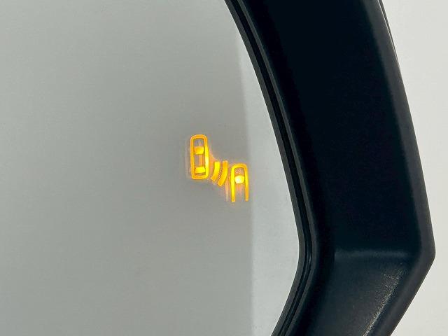 アルファード S“TYPE GOLD” 純正ナビ バックカメラ フリップダウンモニター デジタルインナーミラー 電動リアゲート レーダークルーズコントロール 衝突軽減ブレーキ 車線逸脱防止 ブラインドスポットモニター(49枚目)