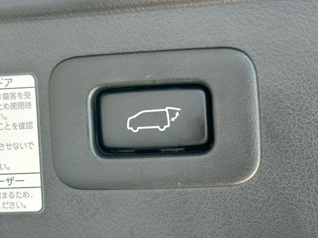 アルファード S“TYPE GOLD” 純正ナビ バックカメラ フリップダウンモニター デジタルインナーミラー 電動リアゲート レーダークルーズコントロール 衝突軽減ブレーキ 車線逸脱防止 ブラインドスポットモニター(56枚目)