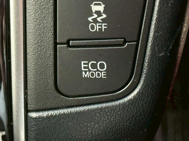 アルファード S“TYPE GOLD” 純正ナビ バックカメラ フリップダウンモニター デジタルインナーミラー 電動リアゲート レーダークルーズコントロール 衝突軽減ブレーキ 車線逸脱防止 ブラインドスポットモニター(61枚目)