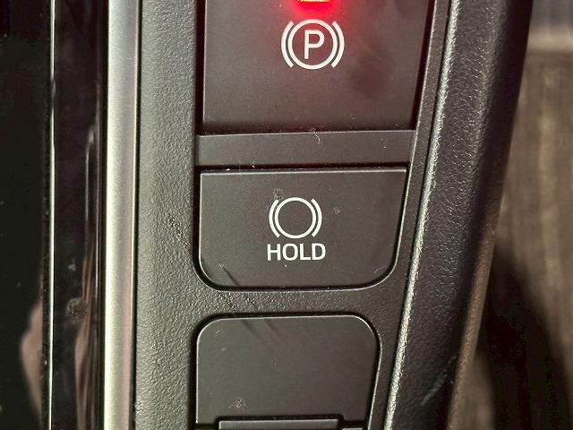 アルファード S“TYPE GOLD” 純正ナビ バックカメラ フリップダウンモニター デジタルインナーミラー 電動リアゲート レーダークルーズコントロール 衝突軽減ブレーキ 車線逸脱防止 ブラインドスポットモニター(66枚目)