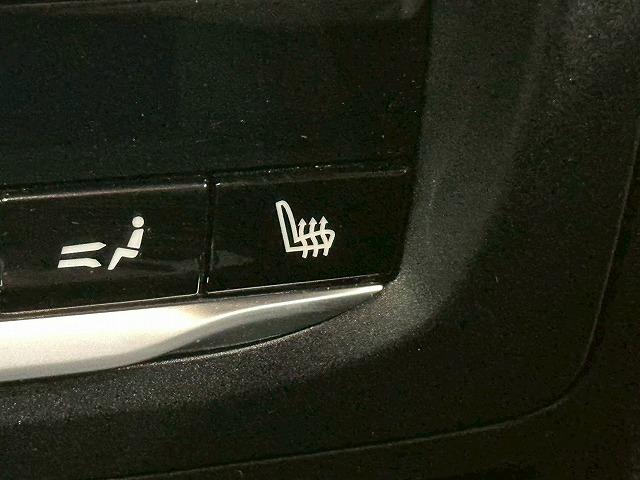 Ｘ３ ｘＤｒｉｖｅ　２０ｄ　Ｍ　Ｓｐｏｒｔ　１オーナー　本革シート　シートヒーター　純正ナビ　アラウンドビューモニター　ブラインドスポットモニター　レーダークルーズコントロール　電動リアゲート　パワーシート　コーナーセンサー（49枚目）