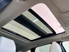 �ڥ���롼�աۿ͵��᡼�������ץ���󡣳��������������Ф��ޤ��� 5