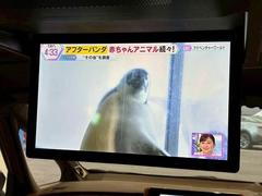 �ڥե�åץ������˥����۲�²����֤ȤΥɥ饤�֤⤳�Υ�˥������������Ĺ��Υ�ɥ饤�֤�����夬��ޤ��͡��� 6