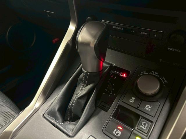 ＮＸ ＮＸ３００ｈ　バージョンＬ　（禁煙車）（黒本革シート）（純正ナビ）（レーダークルーズ）（シートヒーター＆エアコン）（ステアリングヒーター）（サイド＆バックカメラ）（シートメモリー）（ＥＴＣ）（フルセグ）（純正１８インチＡＷ）（49枚目）