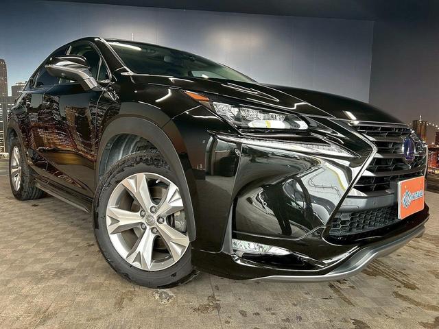 ＮＸ ＮＸ３００ｈ　バージョンＬ　（サンルーフ）（フルエアロ）（禁煙車）（プリクラッシュ）（純正ＳＤナビ）（黒本革シート）（全席パワーシート）（全周囲カメラ）（レーダークルーズ）（シートヒーター＆エアコン）（純正１８インチＡＷ）（22枚目）