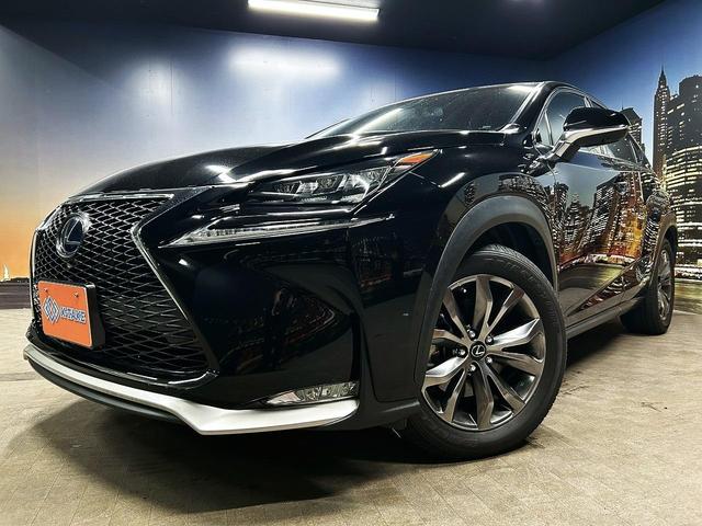 ＮＸ ＮＸ３００ｈ　Ｆスポーツ　（黒＆赤本革シート）（メーカーＳＤナビ）（レーダークルーズ）（シートエアコン＆ヒーター）（クリアランスソナー）（フルセグ）（バック＆サイドカメラ）（メモリー機能付きパワーシート）（純正１８インチＡＷ）（30枚目）