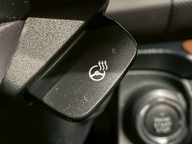 フォレスター アドバンス (禁煙車)(茶本革)(サンルーフ)(純正ナビ)(アイサイト)(フトント/サイド/バックカメラ)(クリアランスソナー)(メモリ付パワーシート)(パワーバックドア)(ETC)(純正18インチAW)(12枚目)