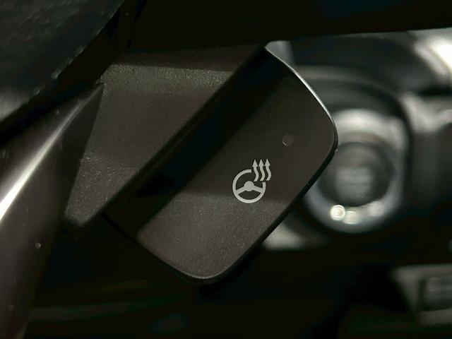 フォレスター プレミアム (禁煙車)(4WD)(半黒革)(メーカーSDナビ)(バック&サイドカメラ)(レーダークルーズコントロール)(パドルシフト)(パワーシート)(シートヒーター)(フルフラット)(純正18インチナビ)(48枚目)