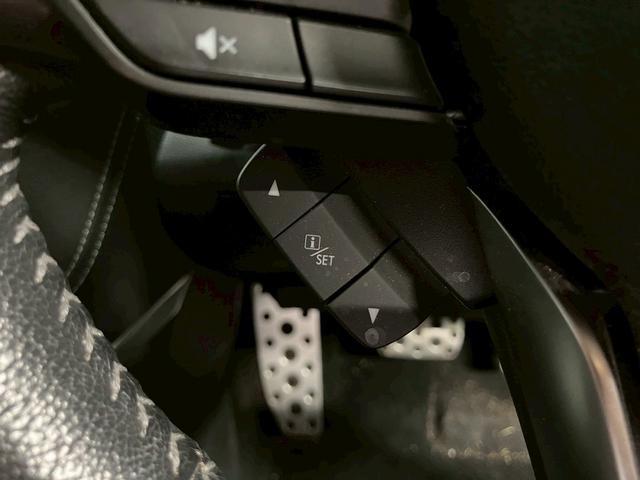 フォレスター アドバンス (禁煙車)(黒本革)(4WD)(メーカーSDナビ)(バック&サイド&フロントカメラ)(LEDヘッドライト)(ルーフレール)(シートヒーター)(ステアリングヒーター)(パワーシート)(純正18インチAW(41枚目)