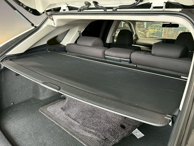 RX RX270 (禁煙車)(メーカーHDDナビ)(バック&サイドカメラ)(ヘッドライトウォッシャー)(オートライト)(LEDヘッドライト)(クリアランスソナー)(プッシュスタート&スマートキー)(純正19インチ)(55枚目)