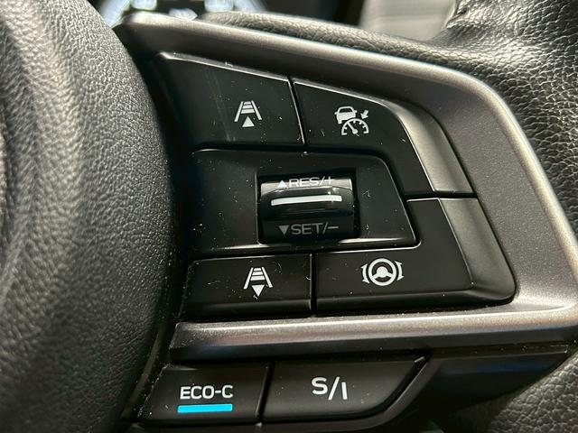 フォレスター アドバンス (禁煙車)(黒半革)(純正ナビ)(フロント・サイド・バックカメラ)(クリアランスソナー)(パワーシート)(パワーバックドア)(ステアリングヒーター)(パドルシフト)(ETC)(純正18インチAW)(10枚目)