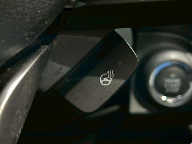 フォレスター アドバンス (禁煙車)(黒半革)(純正ナビ)(フロント・サイド・バックカメラ)(クリアランスソナー)(パワーシート)(パワーバックドア)(ステアリングヒーター)(パドルシフト)(ETC)(純正18インチAW)(56枚目)