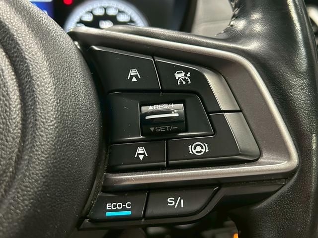 フォレスター アドバンス　（禁煙車）（後期型）（茶本革）（４ＷＤ）（ＡＬＰＩＮＥフリップダウンモニター）（ダイアトーンナビ）（アイサイト）（レーダークルーズ）（パワーシート）（シートヒーター）（ＥＴＣ）（純正１８インチＡＷ）（10枚目）