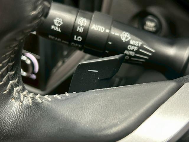フォレスター アドバンス　（禁煙車）（後期型）（茶本革）（４ＷＤ）（ＡＬＰＩＮＥフリップダウンモニター）（ダイアトーンナビ）（アイサイト）（レーダークルーズ）（パワーシート）（シートヒーター）（ＥＴＣ）（純正１８インチＡＷ）（28枚目）