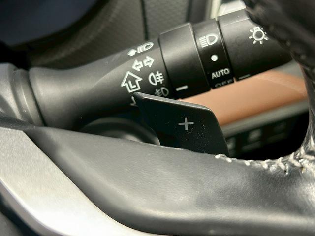 フォレスター アドバンス　（禁煙車）（後期型）（茶本革）（４ＷＤ）（ＡＬＰＩＮＥフリップダウンモニター）（ダイアトーンナビ）（アイサイト）（レーダークルーズ）（パワーシート）（シートヒーター）（ＥＴＣ）（純正１８インチＡＷ）（49枚目）